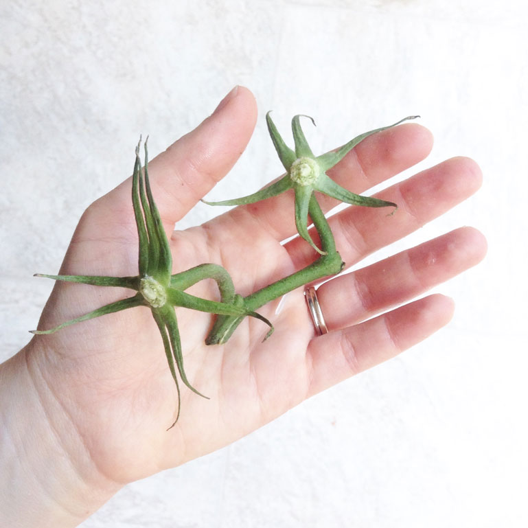 unstructured-summer-11