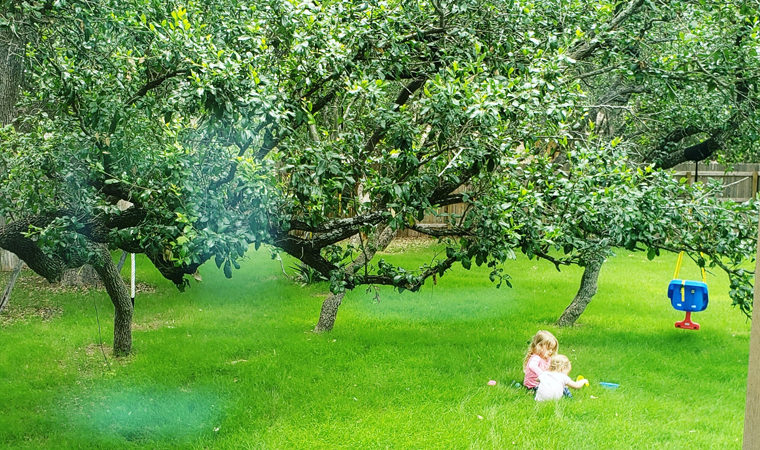 The Joyful Benefit of Bored Kids