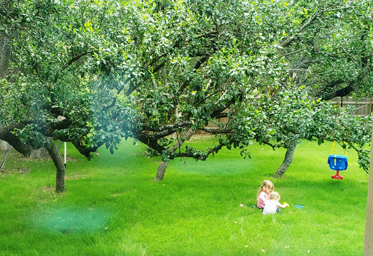 Little girls play in the grass on a sunny afternoon.