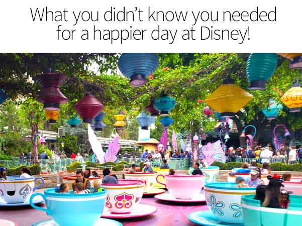 10 Things You Didn’t Know You Needed To Pack for Disneyland