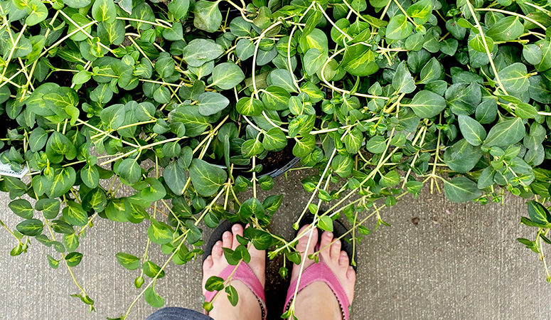 6 Practical Ways to Stop Being a Burnt-Out Mom