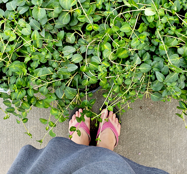 Woman's feet as she stands in front of an overgrowth of vibrant green plants.