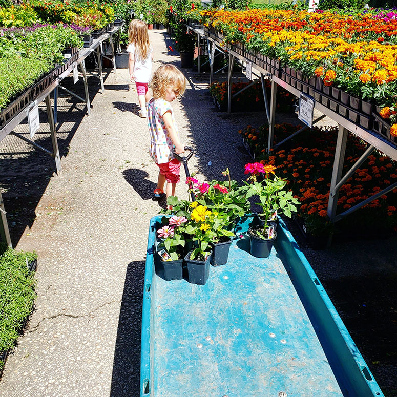 Small girls in a garden nursery.