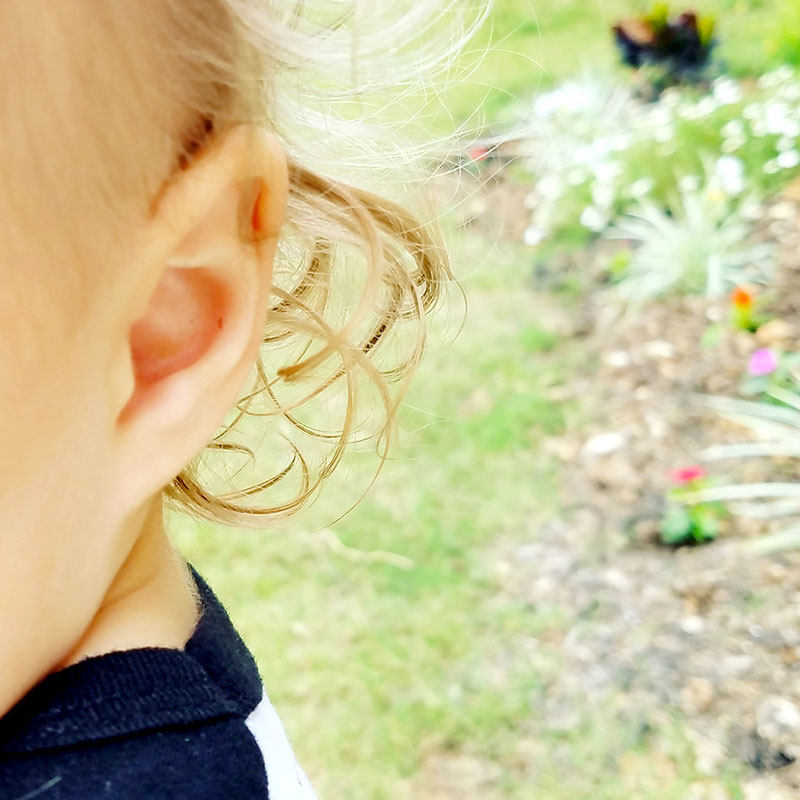 Little girl's ear and curly hair.