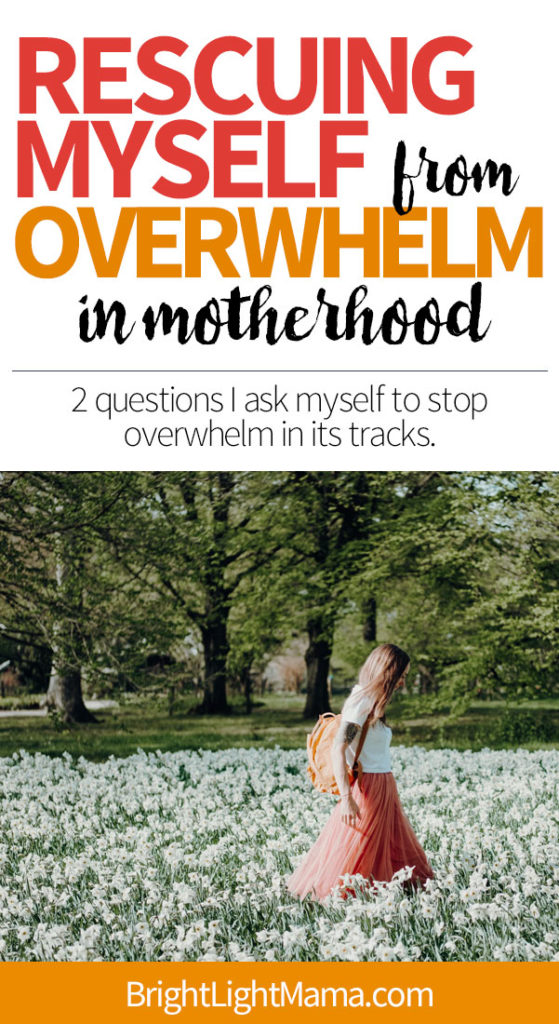 Pin for post about overwhelmed mom advice.