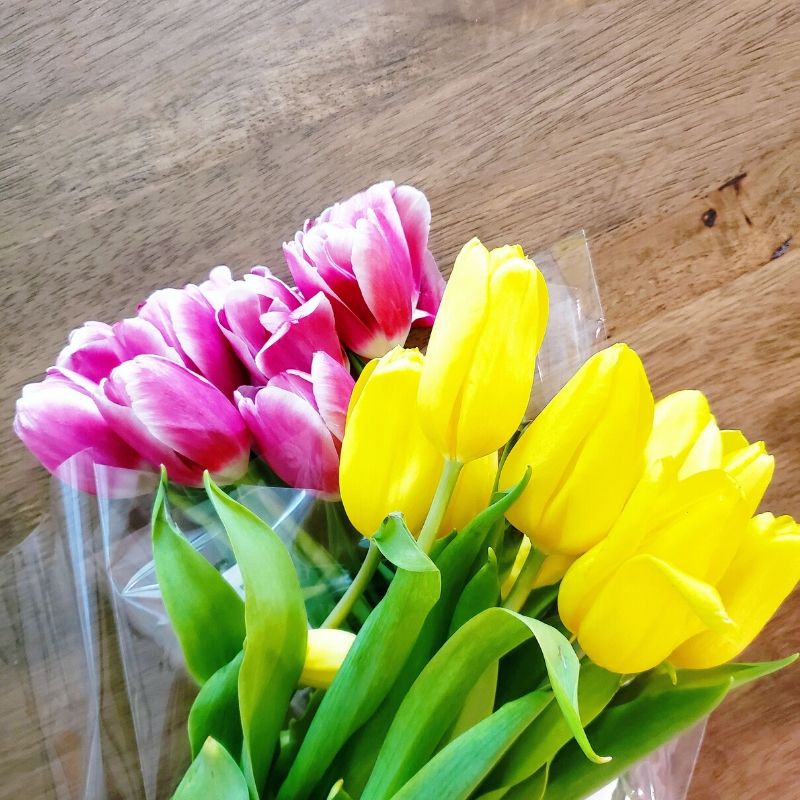 Pink and yellow tulips