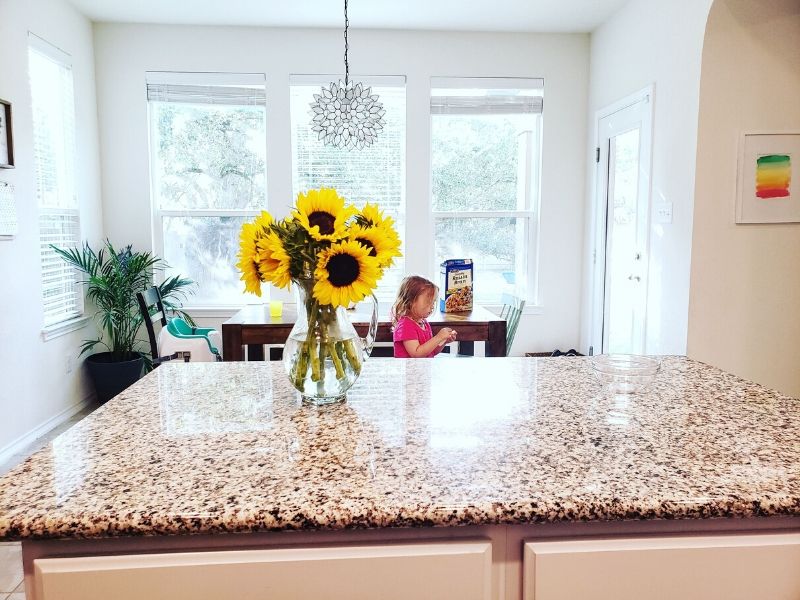 Sunflowers in a vase on a kitchen counter