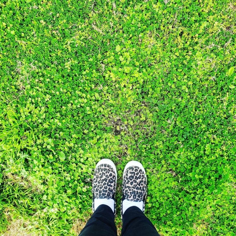 Woman standing in clover